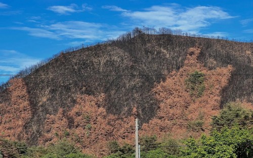 1)488542336_18054755894173666_6383228125297335914_n