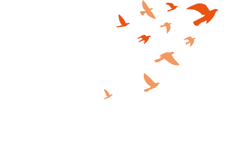 ASIA PACIFIC ALLIANCE FOR DISASTER MANAGEMENT
アジアパシフィックアライアンスは、国境を超えた災害支援連携組織です。