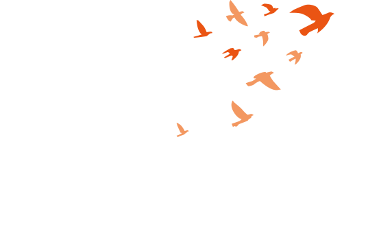 ASIA PACIFIC ALLIANCE FOR DISASTER MANAGEMENT
Asia Pacific Alliance for Disaster Management is
Trans-national Disaster Aid Platform 
for Saving More Lives in Less Time